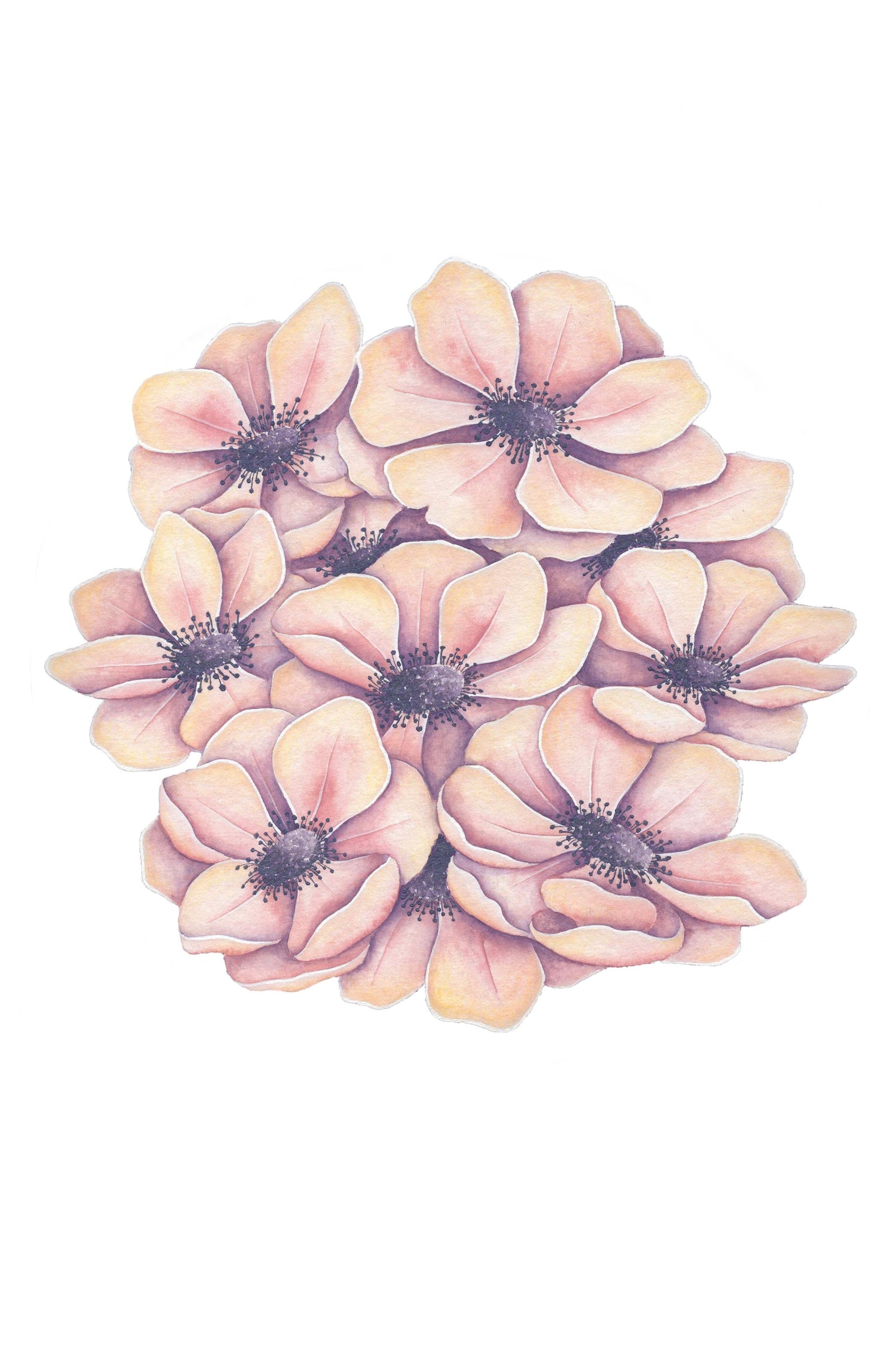Anemones Art Print