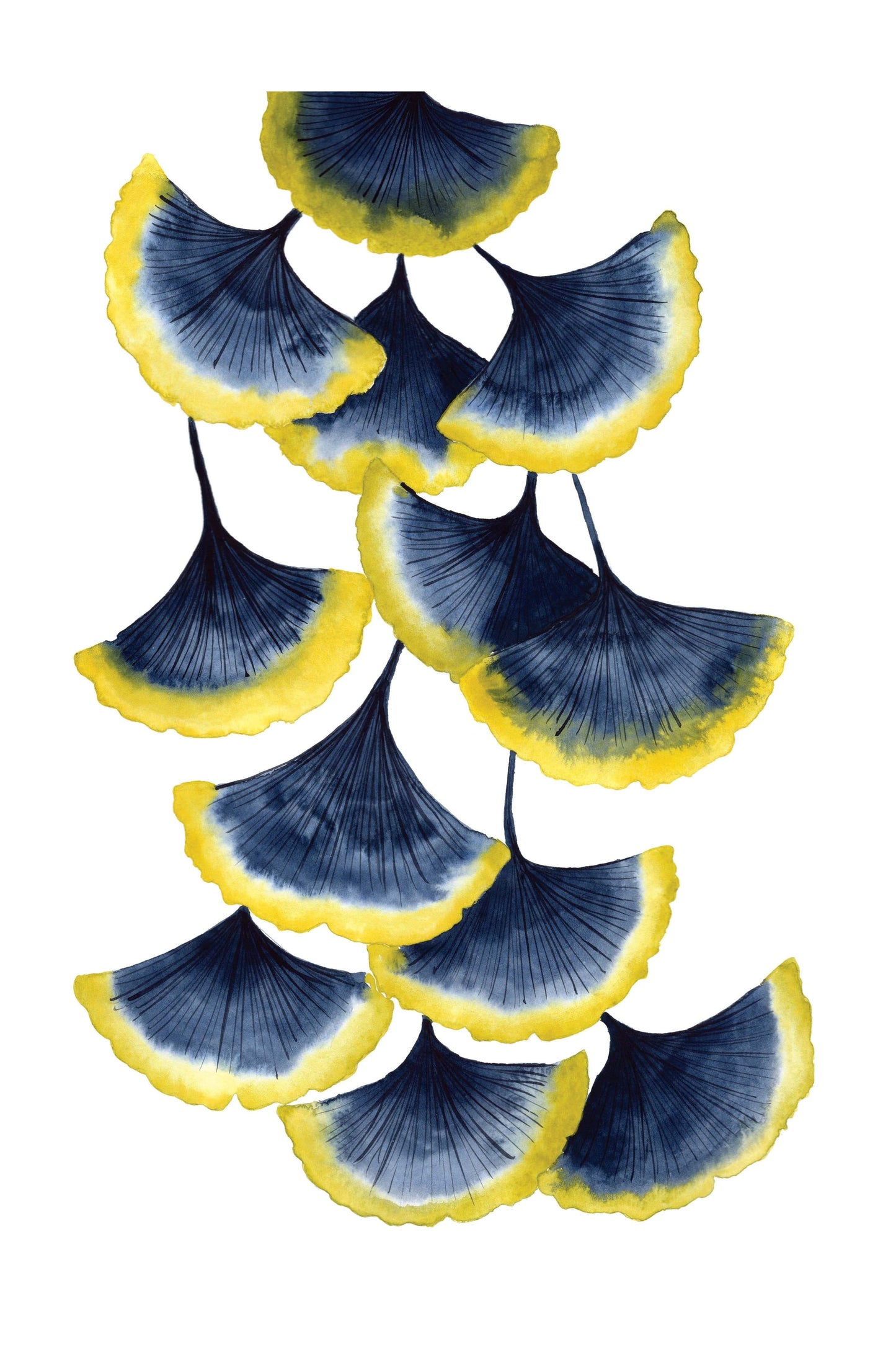 Ginkgo Biloba Leaves Art Print