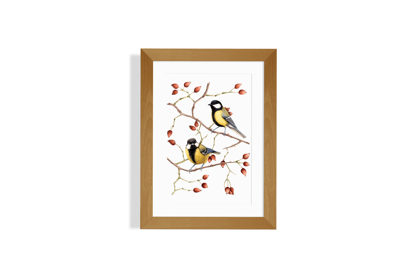 Great tits surrounded by rosehips