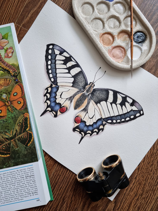 Swallowtail Butterfly - Original Artwork