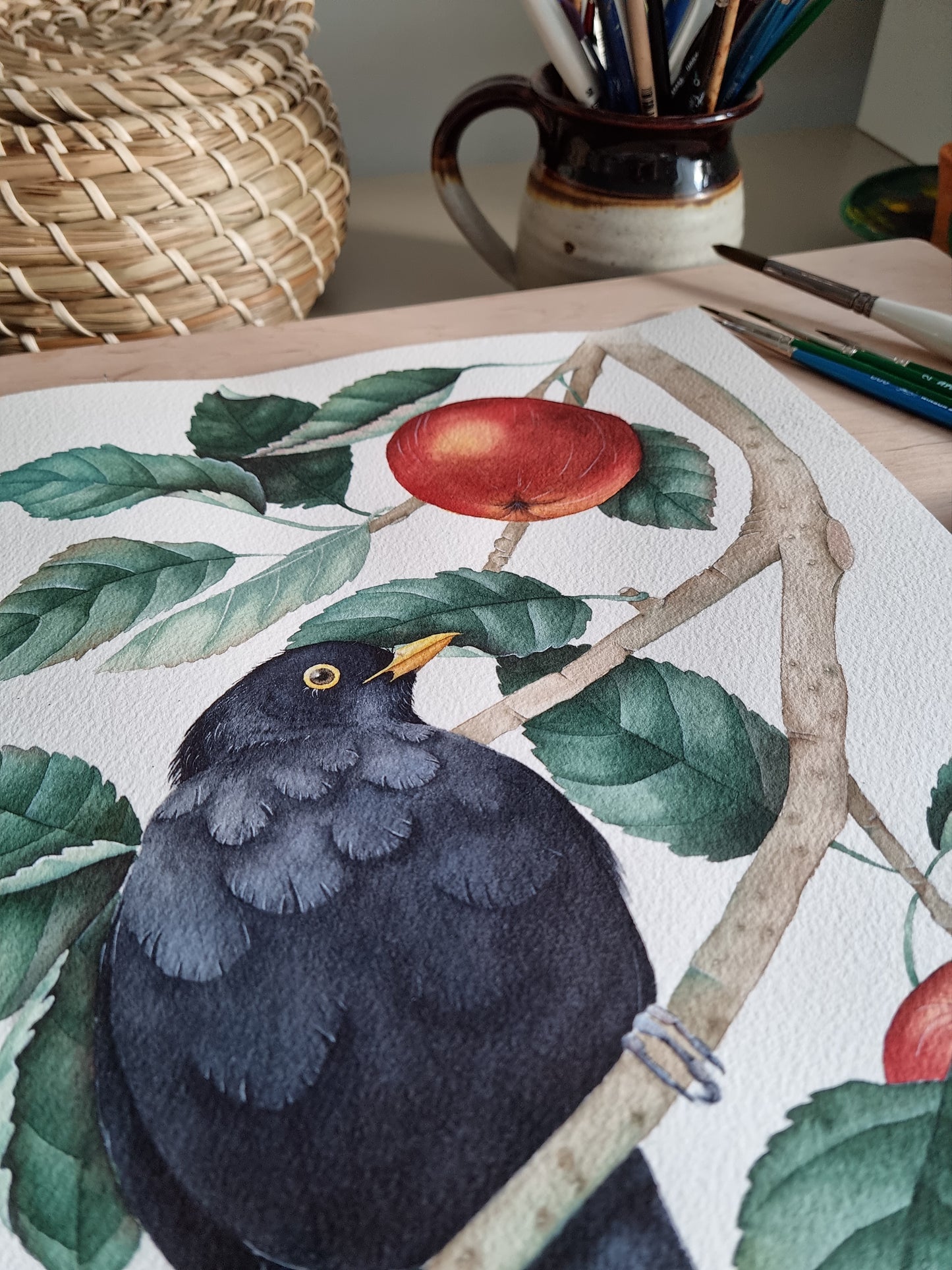 Blackbird in an apple tree - Original Artwork