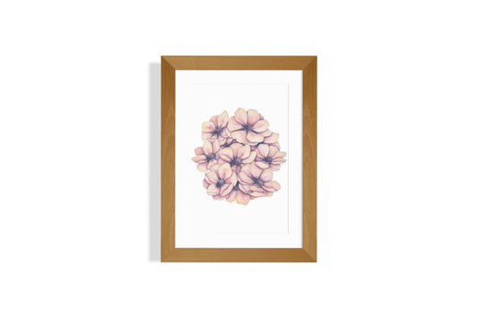 Anemones Art Print