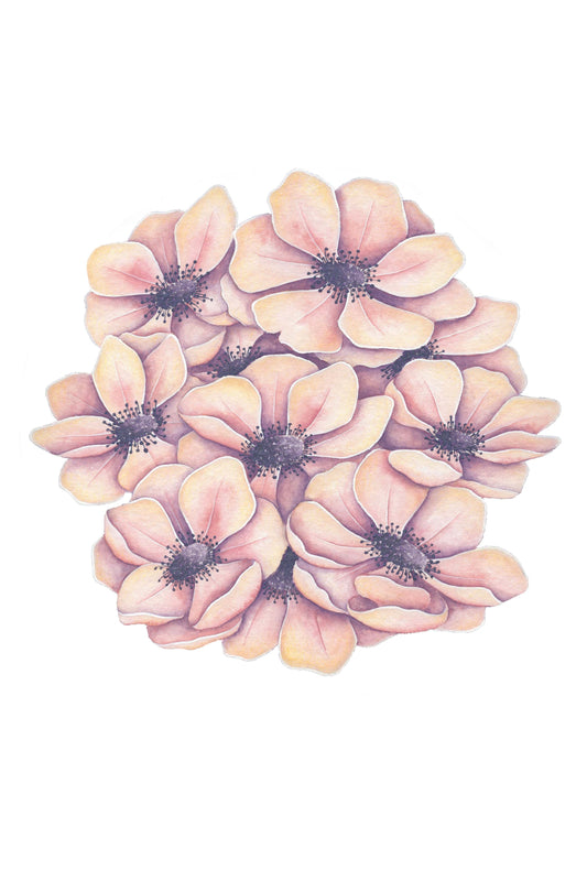 Anemones Art Print