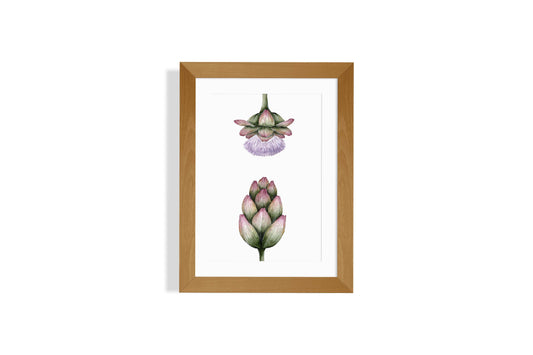 Artichokes Art Print