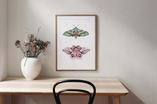 Automeris Moth and Clark's Sphinx Moth Moth - Original Artwork