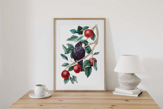 Blackbird in an apple tree - Original Artwork