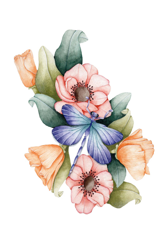 Californian poppies, anemones and Dragonfly Art Print