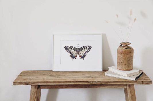 Swallowtail Butterfly - Original Artwork